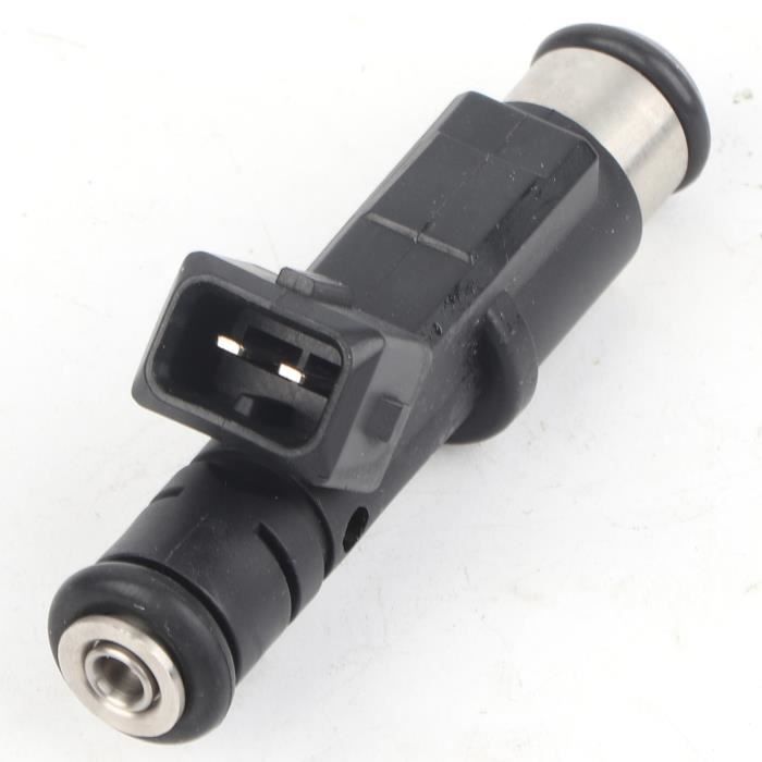 Inyector De Combustible Para Peugeot 206, 307, 406, 407, 607, 806, 807 Expertos