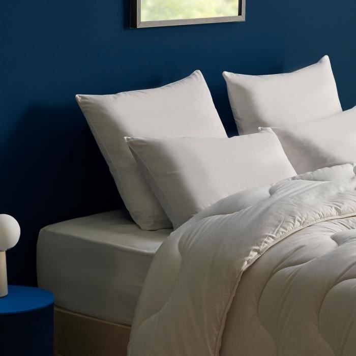 DODO Lot de 2 oreillers Total Protect 65x65 cm blanc - Cdiscount Maison
