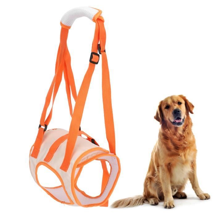 Meilleurs prix pour Harnais de levage pour chien de compagnie en maille - TMISHION - M - Orange - Moyen - Chien