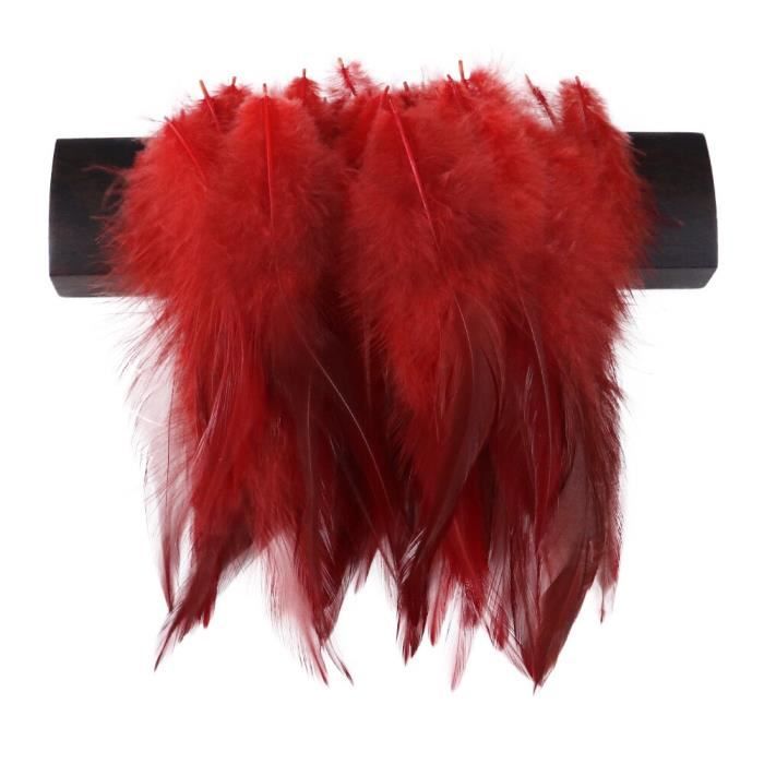 Lot De 50 Plues Colorées Pour Le Bricolage, La Décoration De Boucles D