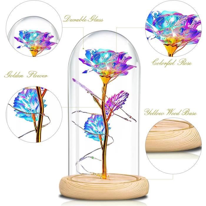 Rose Éternelle Sous Cloche Elekin Avec Bijoux - Coffret Cadeau Femme Avec Collier Et Boucles D'Oreilles - Idée Cadeau Romantique