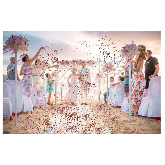 Confettis Biodégradables Pétales De Fleurs Séchées - Lot De 10 Sachets - Décoration Mariage Naturel