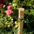 Piquet de clôture en bois de marronnier - FLORANICA - rond, écorcé et pointu - Hauteur 120 cm-3