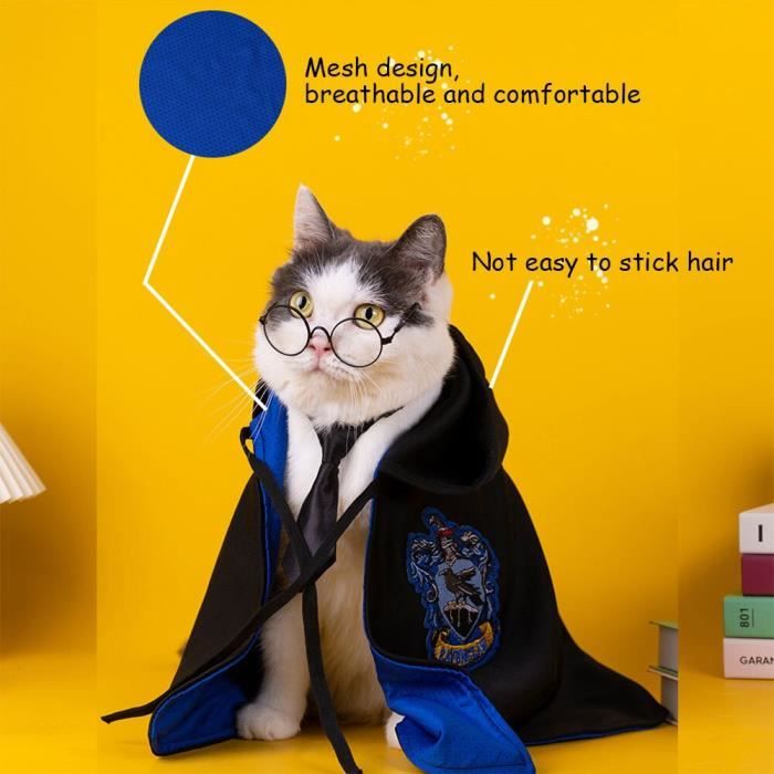 Tenu sales pour chat