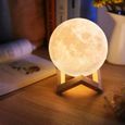 3D Lampe de Lune d'Impression - 2 couleurs - Interrupteur tactile - Rechargeable - 15 cm-0