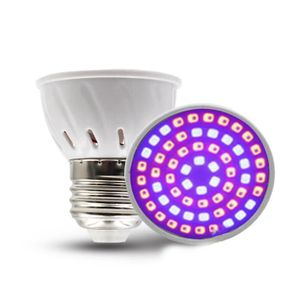 LAMPE VERTE HURRISE Lampe Croissance LED pour Plantes d'Intérieur E27 E14 pour Serres et Jardins - Lumière de Cultivation, Lampe Hydroponique,