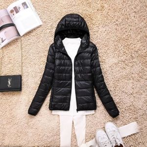 Anorak ski hotsell homme intersport