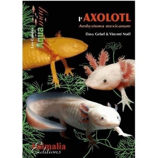 L Axolotl Cdiscount Librairie