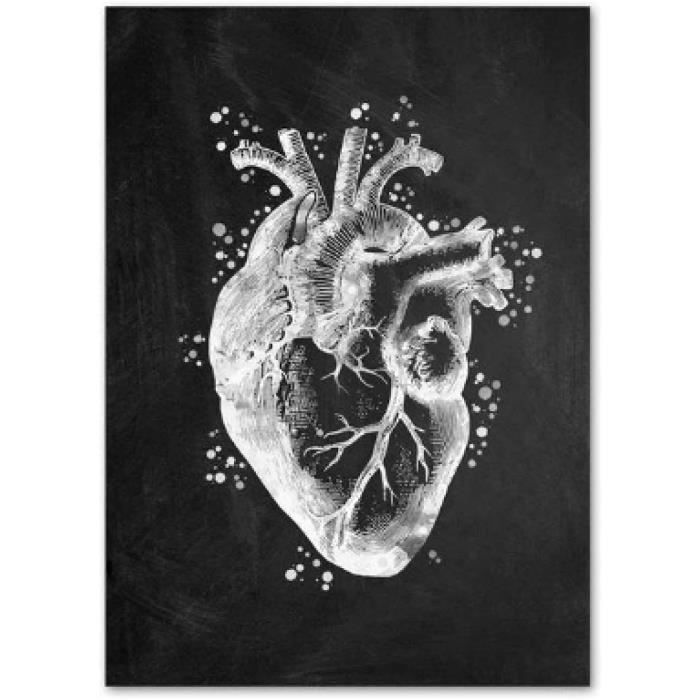 noir-et-blanc-anatomie-art-corps-humain-toile-peinture-coeur-poumon
