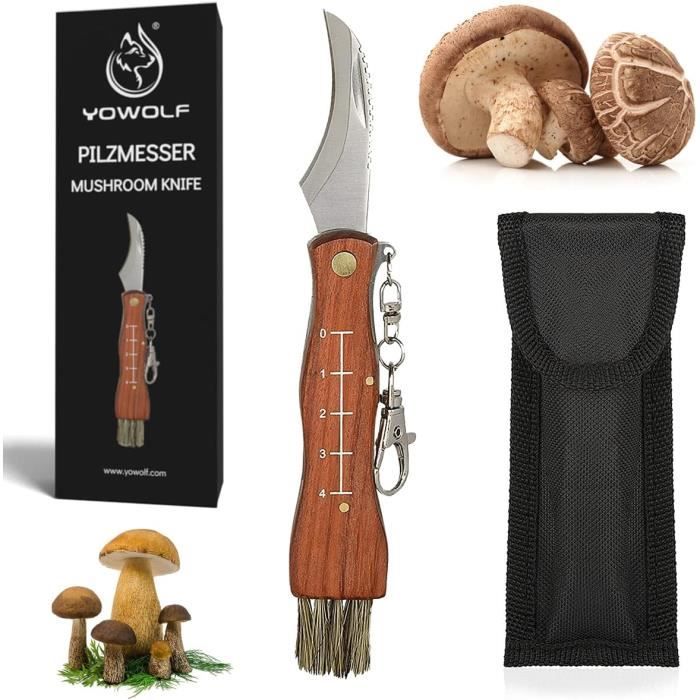 Couteau à Champignons Albainox Avec Manche Courbé ⚔️ Boutique Épées