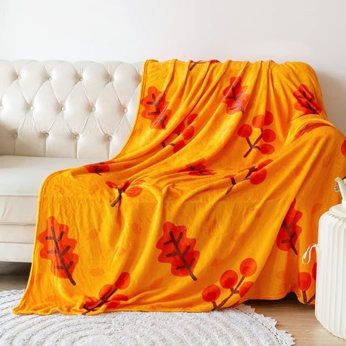 YISUMEI Couverture 150 x 200 cm - Flanelle douce - Couverture