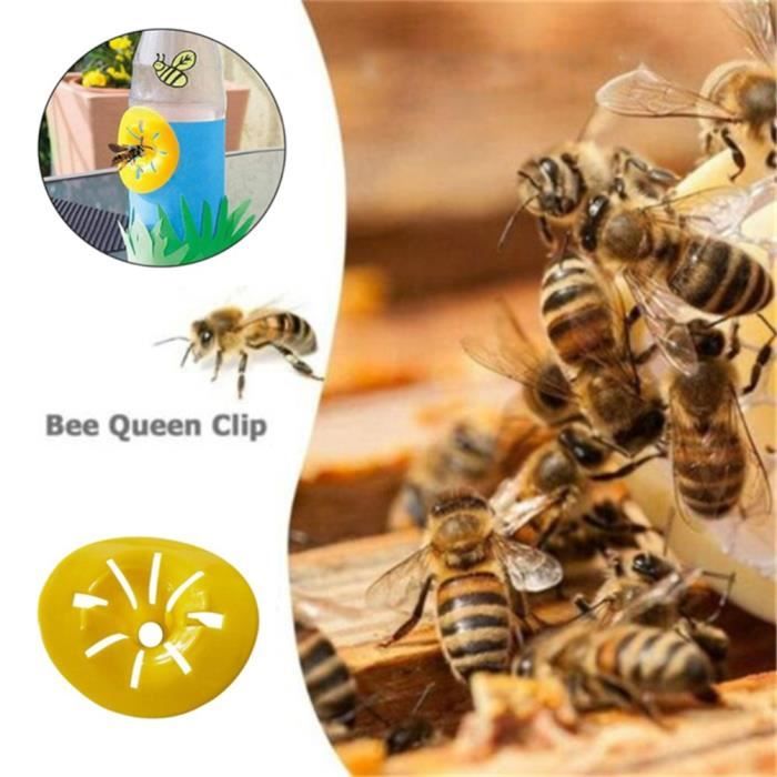 Pièges À Abeilles Et Guêpes Charpentières | Piège À Abeilles Avec