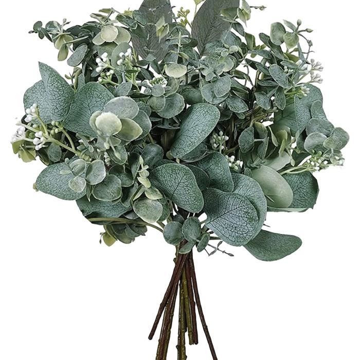 Bouquet Eucalyptus Douche 10 Branches Eucalyptus Séché - Décoration Naturelle Et Parfumée Aromathérapie Maison
