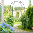 Arche de jardin arche à rosiers treillis métal époxy noir-1