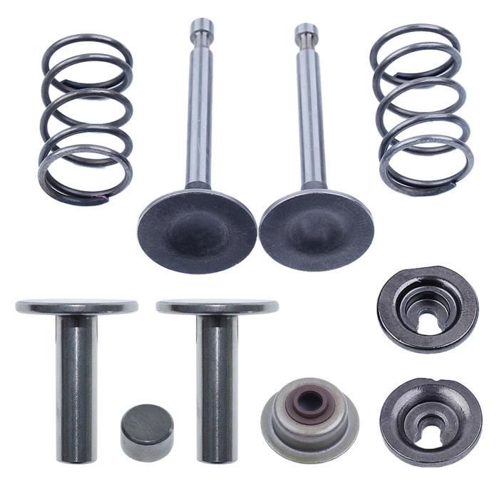 Kit De Ressorts De Soupapes Pour Moteurs Essence GX160 GX200 168F 170F - 5,5 à 6,5 CV - 3