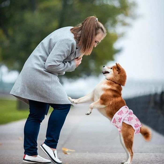 Couches Lavables Pour Chien Femelle Namsan - Lot De 3, Taille Réglable (tour De Taille 32-38 Cm) - Pour Chaleurs, Incontinence