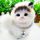 Collier pour chat avec clochette