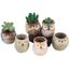 Pot de Fleur en Forme de Hibou de Bande dessin/ée pour la d/écoration de Jardin en c/éramique de Plantes succulentes