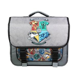 Harry Potter Hogwarts sac à dos beige pour femme, sac à dos en éco-cuir  41x28x12 cm : : Mode