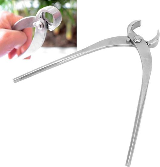 Coupe Concave Bonsaï Sécateur Bonsaï 8 Pouces - Acier Carbone