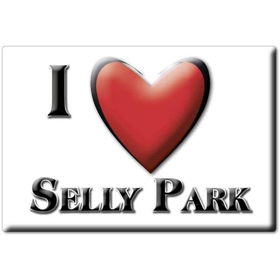 SELLY Park (ENG) Souvenir Aimant DE FRIGO Angleterre England IDÉE DE