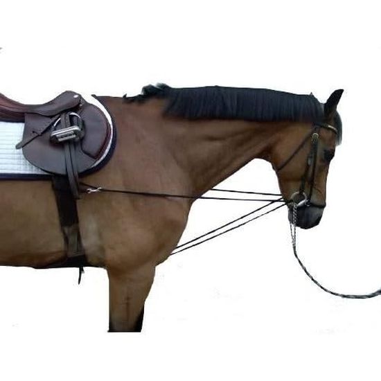 File:Rollkur - hyperflexion avec rênes allemandes.jpg - Wikimedia