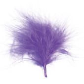 20 Plumes Parme