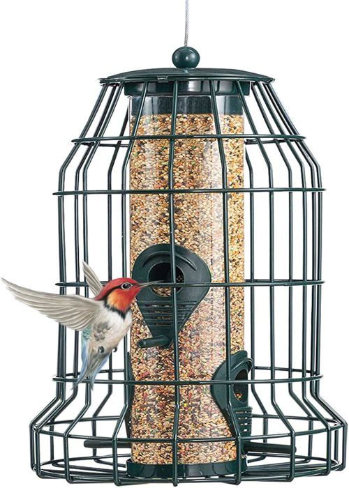 Meilleurs prix pour Mangeoires à oiseaux sauvages à suspendre à 4 ports pour dissuader les écureuils,mangeoire à oiseaux en cage pour petits oiseaux