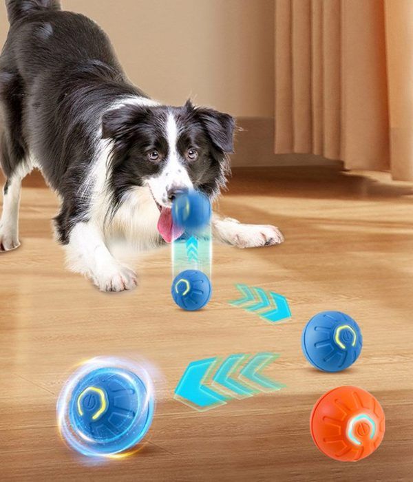 Meilleurs prix pour Jouet à mâcher 2 pièces jouet interactif pour chien balle balle auto-roulante pour chien