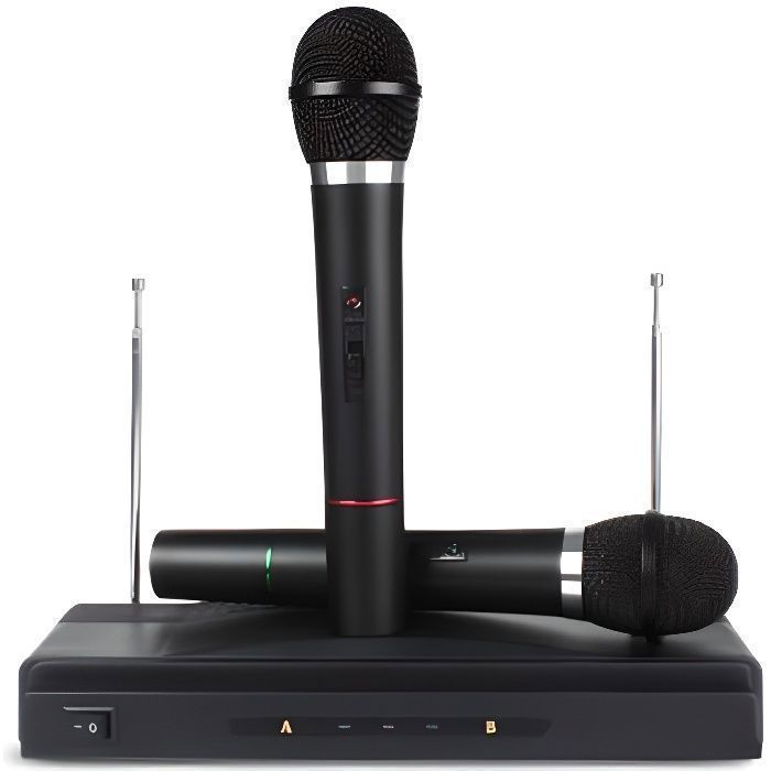 2x PRO Microphone Sans Fil Micro FM pour Chant DJ Karaok Spectacle Soire Studio PRISE EU