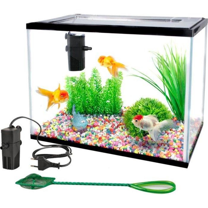 Meilleurs prix pour Kit Aquarium rectangulaire 16L avec filtre gravier et épuisette