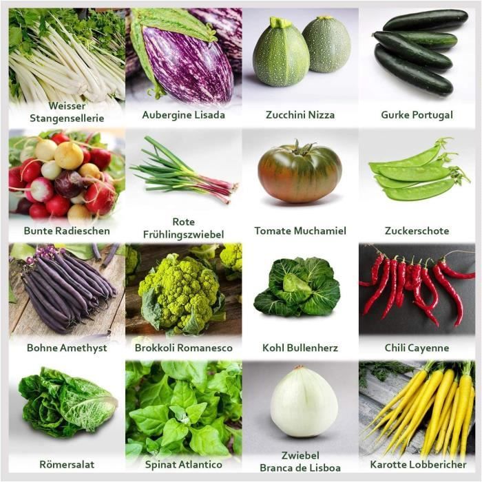 Persil Vivace 250 X Graines Prademir - Graines 100% Naturelles Du