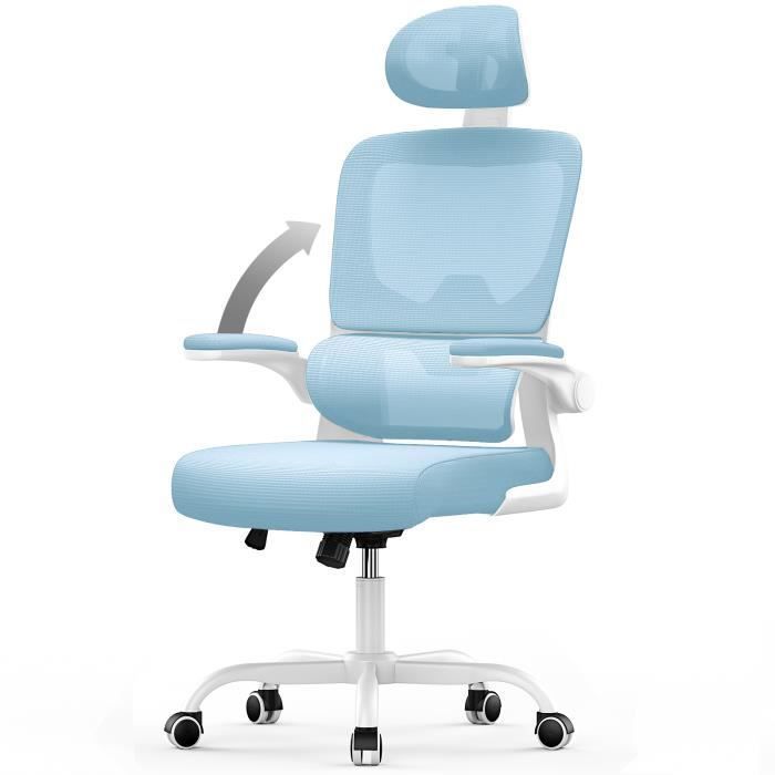 Chaise de Bureau Ergonomique - RATTANTREE Fauteuil - avec accoudoir rabattable à 90° - Support Lombaire - Réglable en hauteur