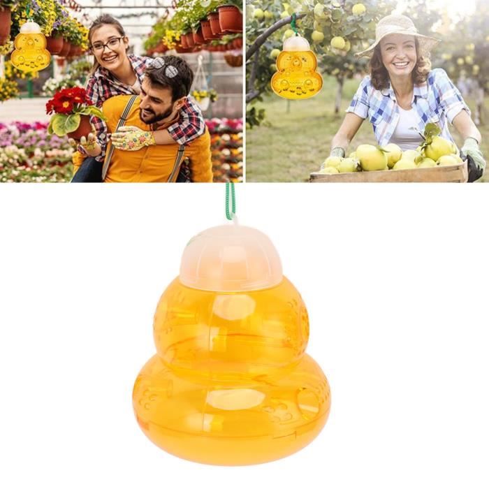 Pièges à Guêpes Et Frelons : Types, Emplacements, Appâts Et