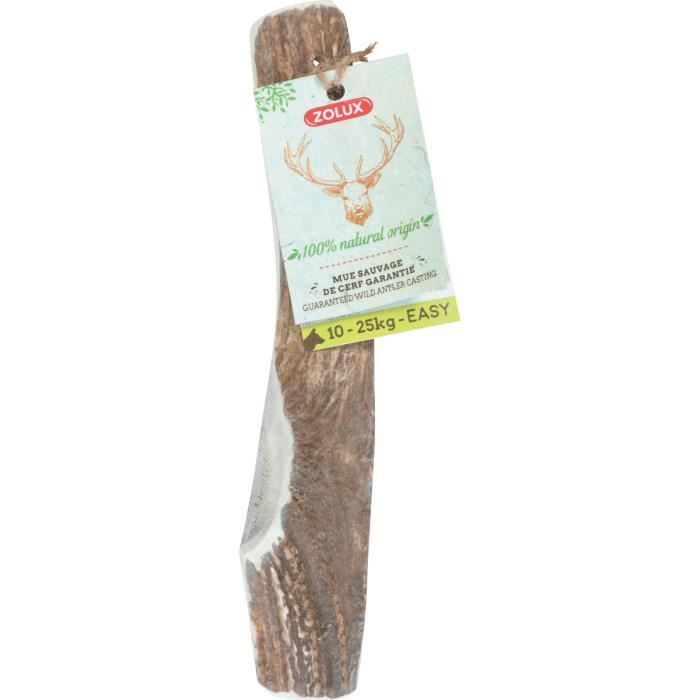 Friandise pour chien - Zolux - Bois de cerf biseauté - 100% naturel - Taille M - Hygiène dentaire