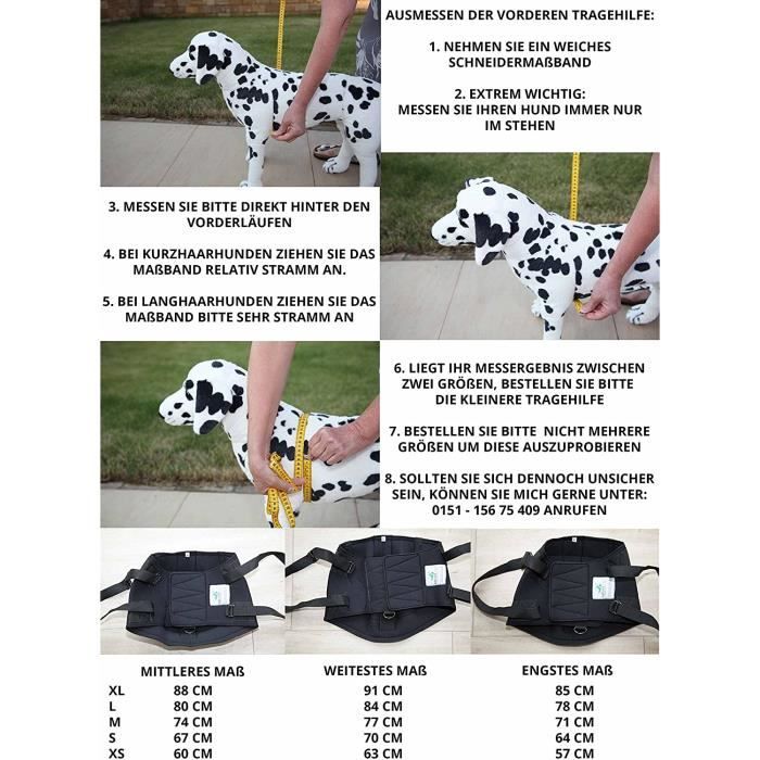 Ceinture Laisse de sécurité pour voiture pour chien - NOS 4 PATTES – Nos 4  pattes
