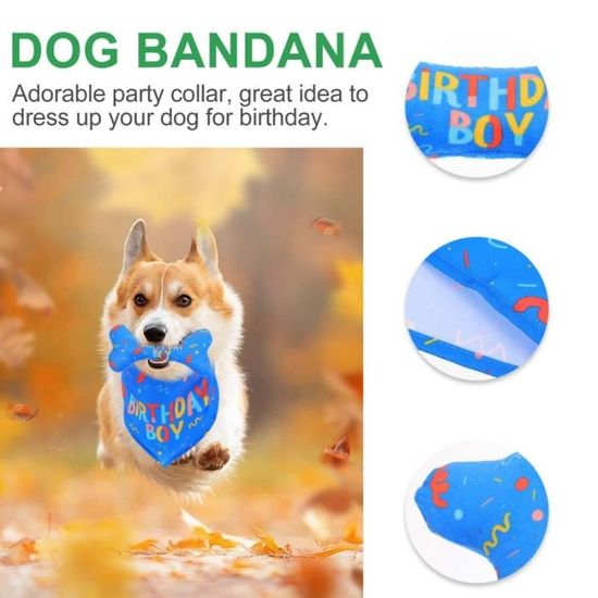 2pcs Costume D Anniversaire Pour Chien D Animaux De Compagnie Salive Saliva Toile Kit Vetement Accessoire Vetement Accessoire Cdiscount 2pcs Costume D Anniversaire Pour Chien D Animaux De Compagnie Salive Saliva Toile Kit Vetement Accessoire Vetement Accessoire Cdiscount