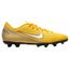 nike neymar prix