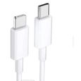 Cable Pour Iphone USB C vers Lightning , cable1M pour iPhone 14/14 Pro/13/13 Mini/13 Pro/12 Mfi Certifié charge rapide-0