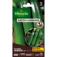 Courgette Anissa HF1 obt Vilmorin - Graine - Légumes - Soleil - 0,6 - Potager et verger-0
