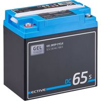 ECTIVE 12V 65Ah GEL batterie decharge lente Deep Cycle DC65S avec écran LCD/ marine, moteur electrique bateau, camping ca