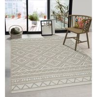 Tapis de Salon ou Terrasse en beige 240x340 | Tapis plat moderne | Rectangulaire | Interieur et Exterieur - The Carpet Ottowa