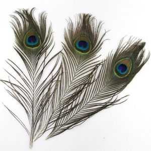 25 pcs Beau réel naturel paon Yeux plumes 10-12/' pour mariage décoration