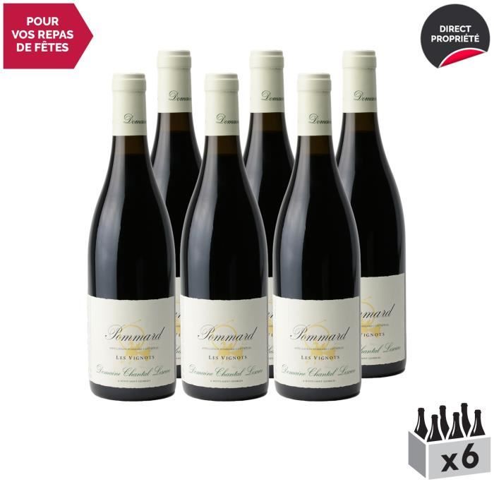 Pommard Les Vignots Rouge 2017 - Lot de 6x75cl - Domaine Chantal Lescure - Vin AOC Rouge de Bourgogne - Cépage Pinot Noir