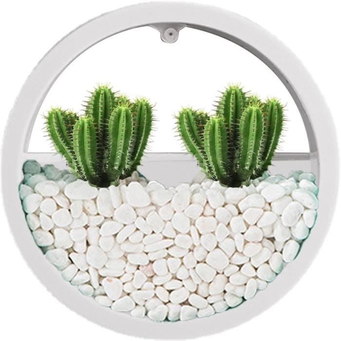 Pot Mural Aimanté Carré Pour Plantes Grasses - 16x11x15 Cm - Polypropylène - Avec Trou De Drainage
