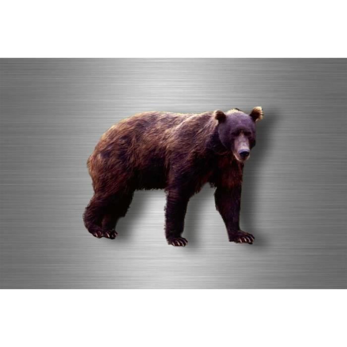 Autocollant sticker voiture moto decoration grizzli ours brun animal  animaux - Cdiscount Auto
