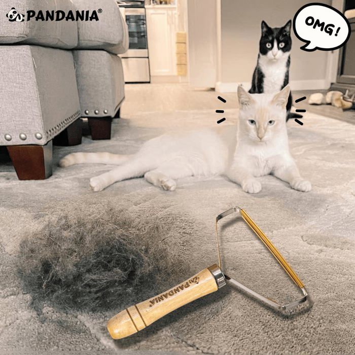 KOLZEMV Rasoir Anti Bouloche Manuel Lot De 5 - Brosse Anti Poils Animaux Et Tissus