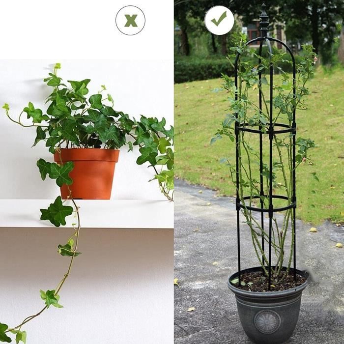 Obélisque De Jardin 175 Cm – Treillis Métal Pour Plantes Grimpantes Avec Tête D’Oiseau – Support Rose & Légumes