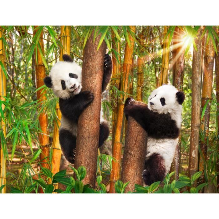 Runa Art - Papier Peint Intissé XXL Chute D'eau Panda