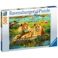 Puzzle 500 pièces - Lions dans la savane - Ravensburger - Pour adultes et adolescents-0